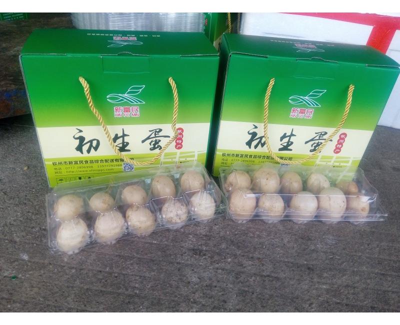 新富民初生蛋-源于天然 滋補(bǔ)有道。